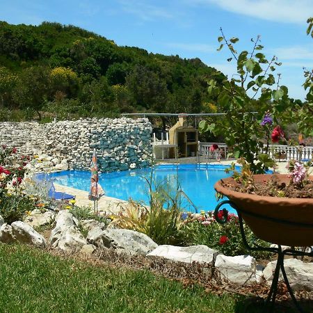 Angela Apartments Pool Gardens And Sea Views Agios Stefanos Avliotes  Екстер'єр фото